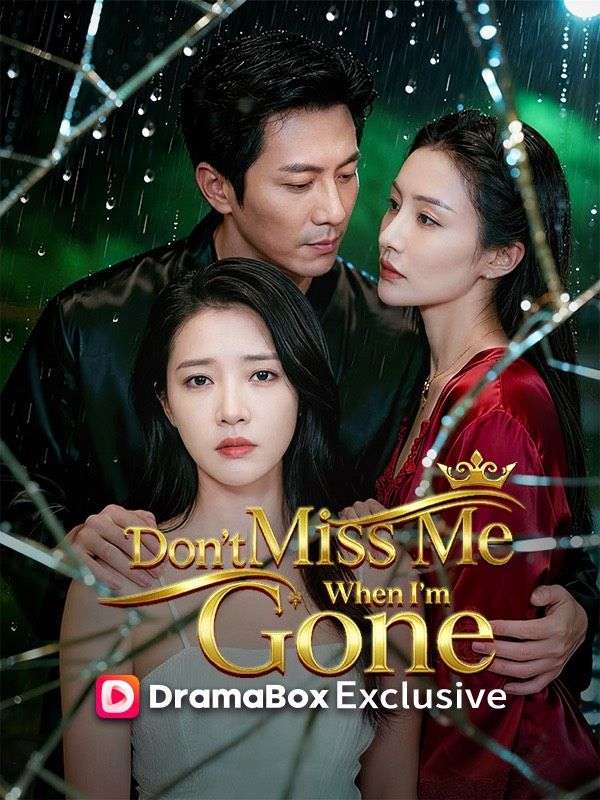 Don't Miss Me When I'm Gone(DUBBED)