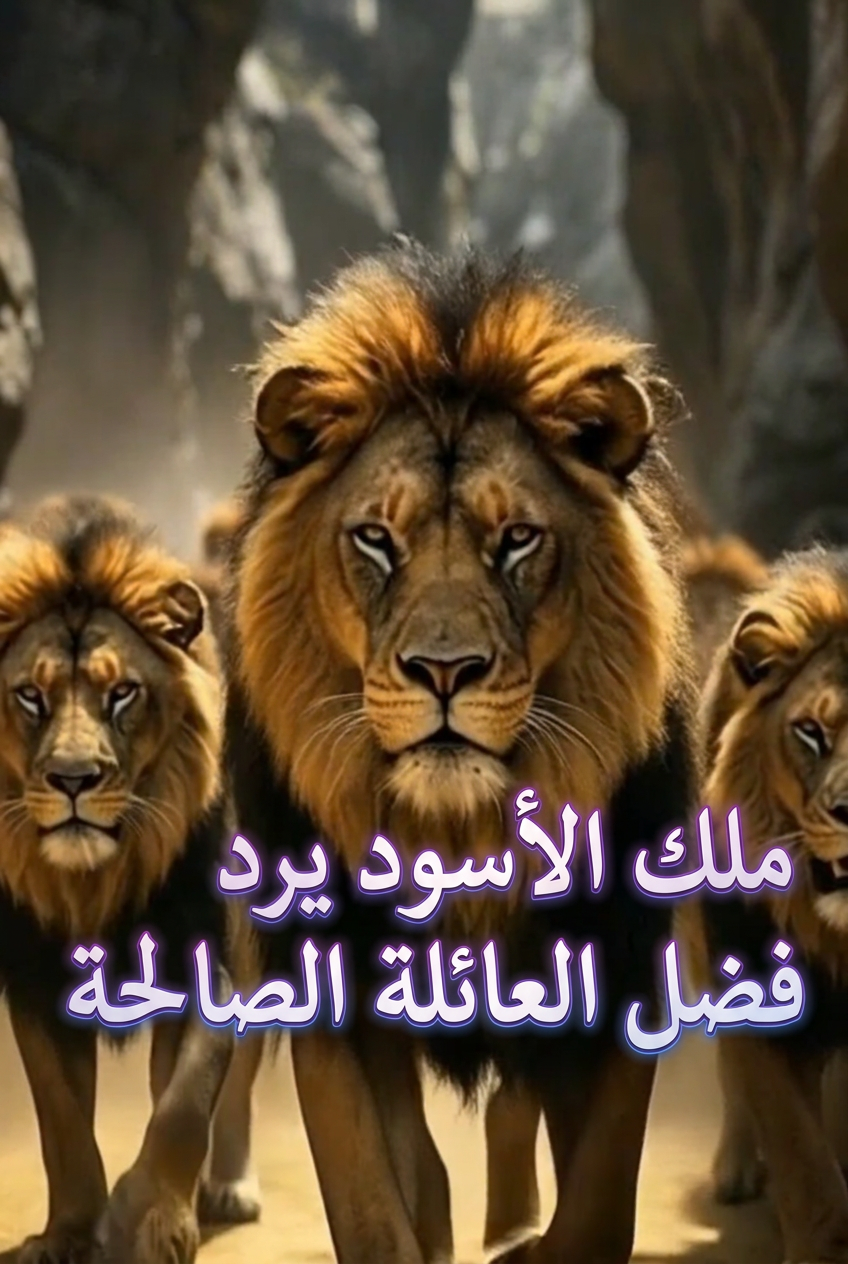 ملك الأسود يرد فضل العائلة الصالحة