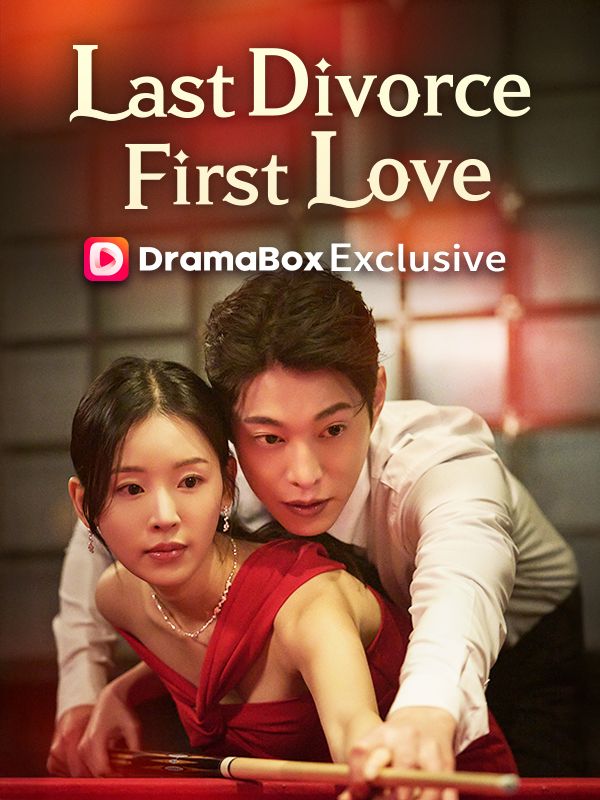 My Last Divorce, My First Love（DUBBED）